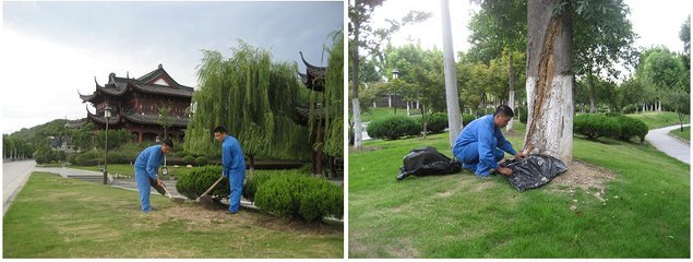 灭白蚁机构、武汉拜斯特、洪山灭白蚁